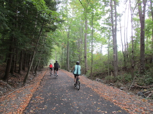 photograph of three people on bikes on a paved trail in the woods.