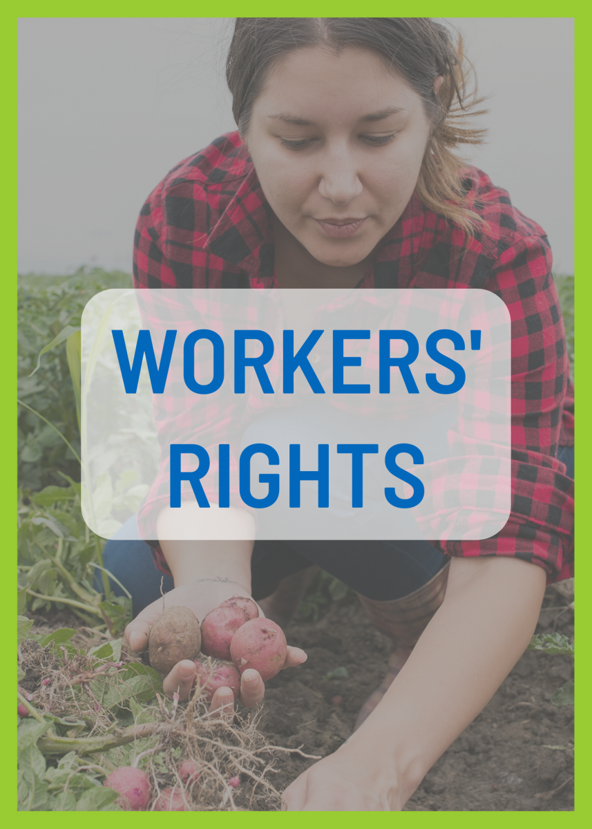 права трудящихся