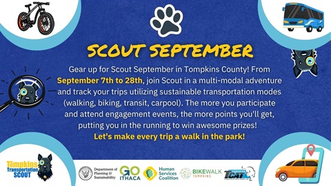 Scout-September-Web-Graphic.jpg