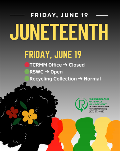 juneteenth poster