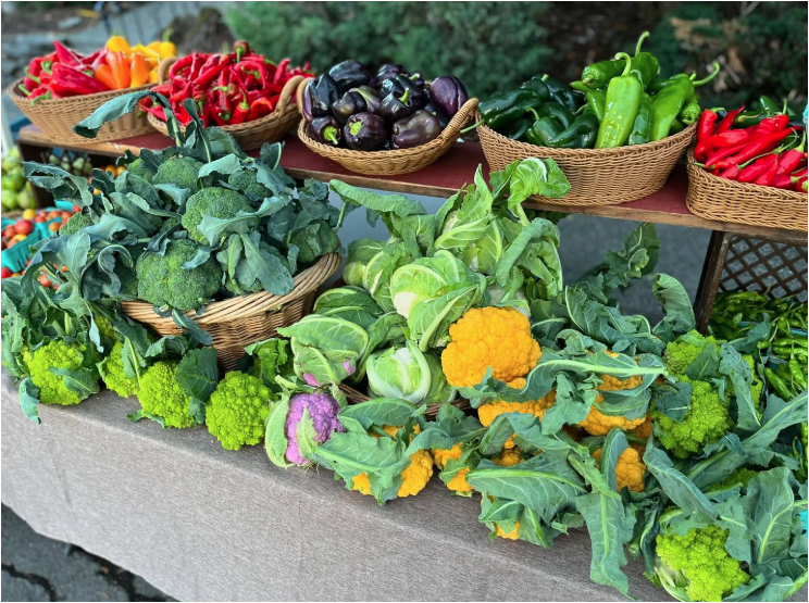 A display of many vegetables at a farmers market, including broccoli, cabbages, peppers, and eggplant.