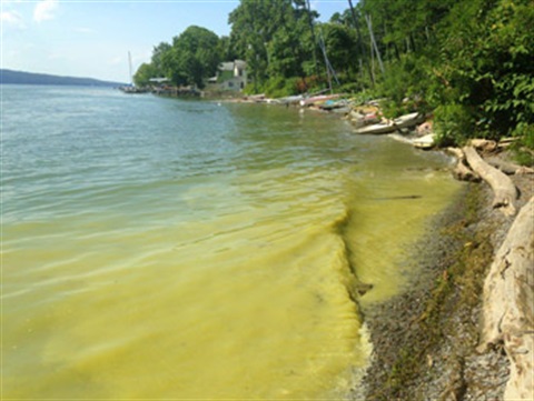 HAB-Credit-FLLT-SE-CayugaLake-2017-08-02-1600hr_350x263.jpg