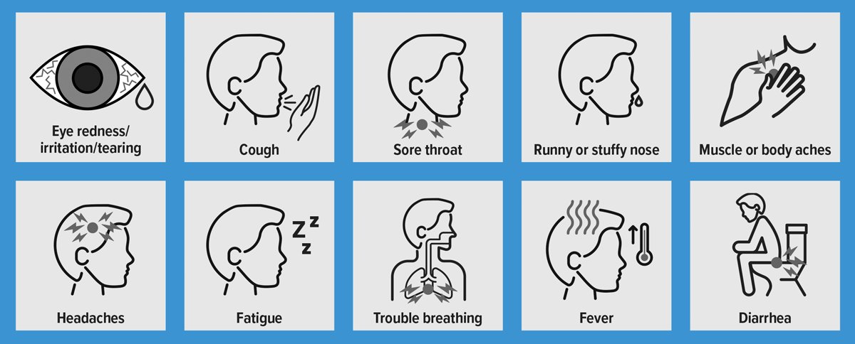 Graphic showing possible symptoms of bird flu in humans