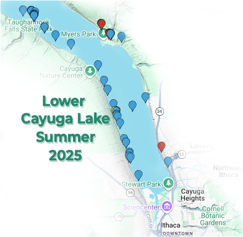 This is a map of the part of Cayuga Lake that's in Tompkins County. It shows locations of HABs along the shoreline during the summer of 2025