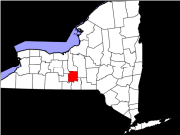 Image of New York State Counties