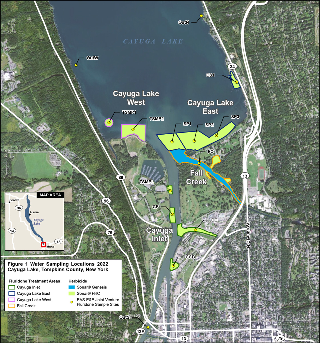 Image of the treatment sites on an satellite photo of the Cayuga Lake inlet area