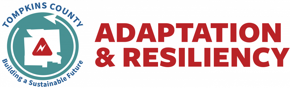 Adaptation and Resiliency 